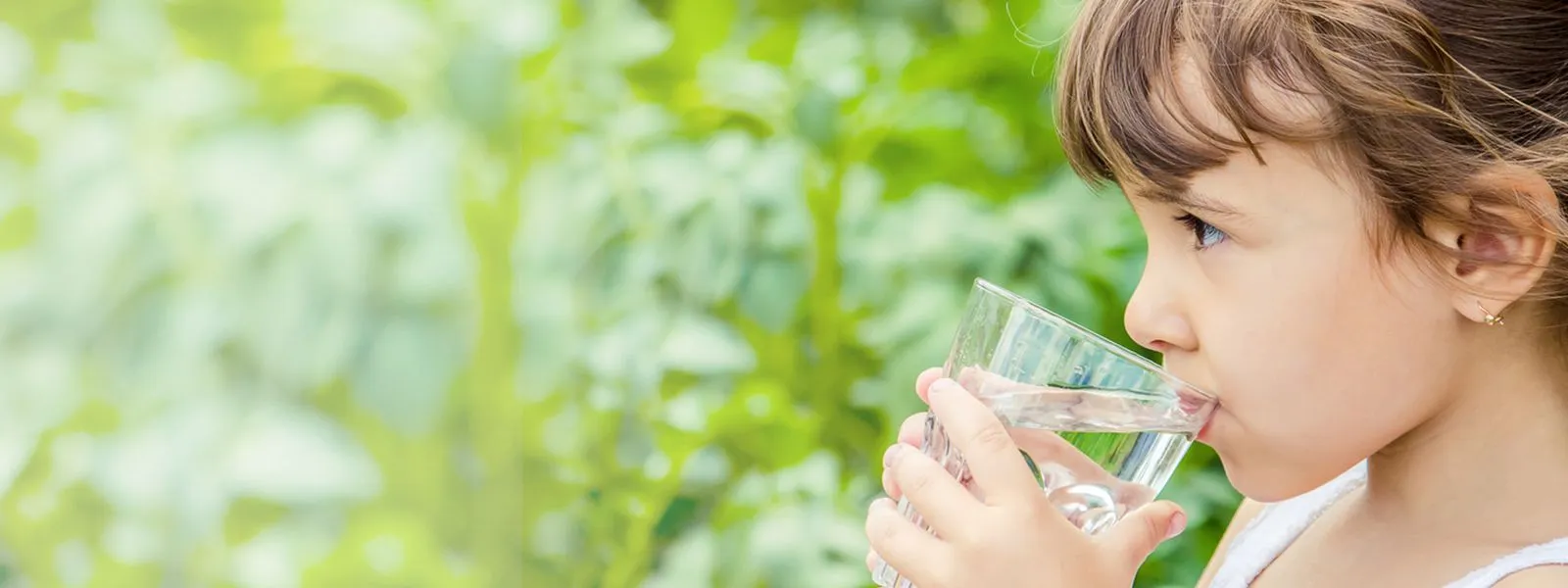 Blog Page Water Purifier Desktop